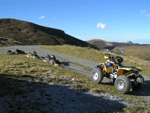 Entrainement des chiens en quad